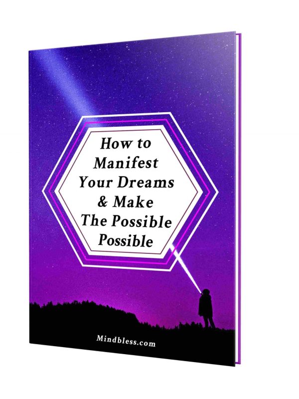 Make the Possible Possible E-book