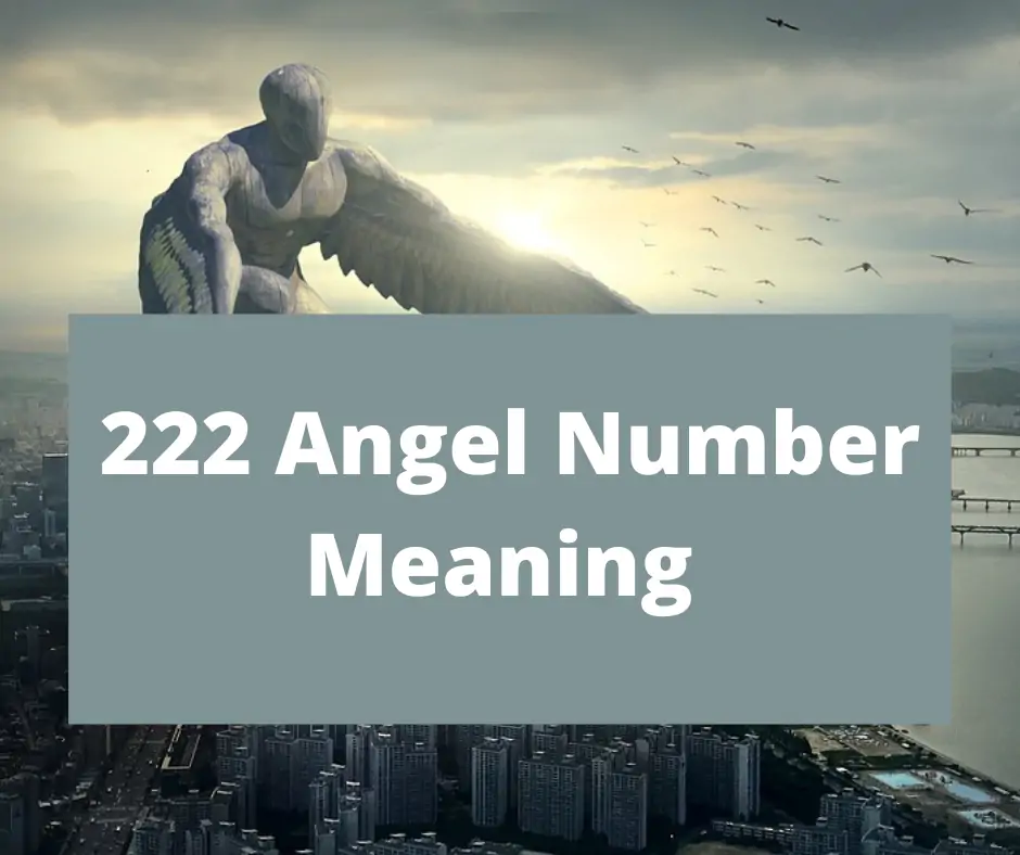 222 Numéro d'Ange Signification