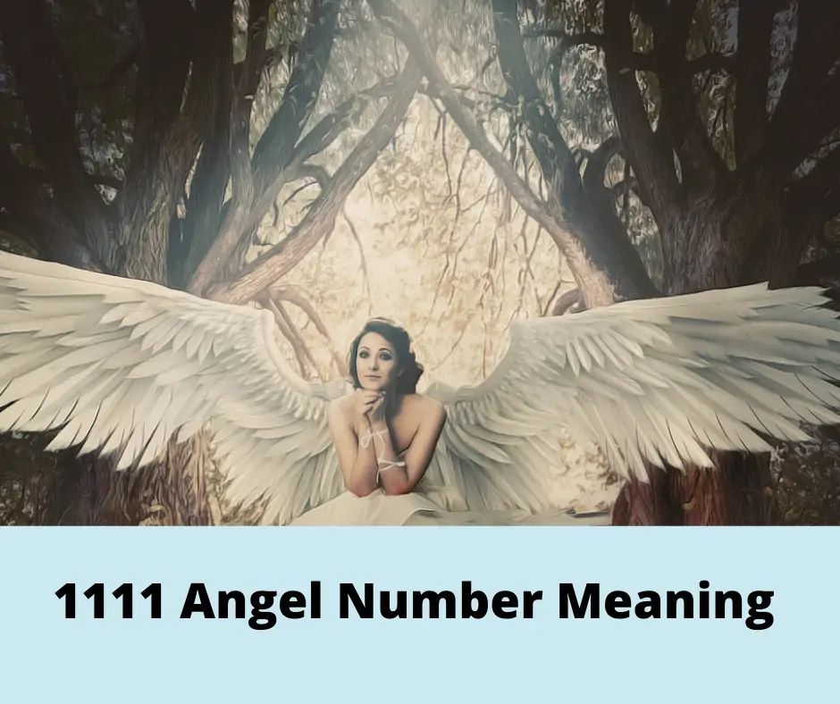 1111 Número del Ángel Significado